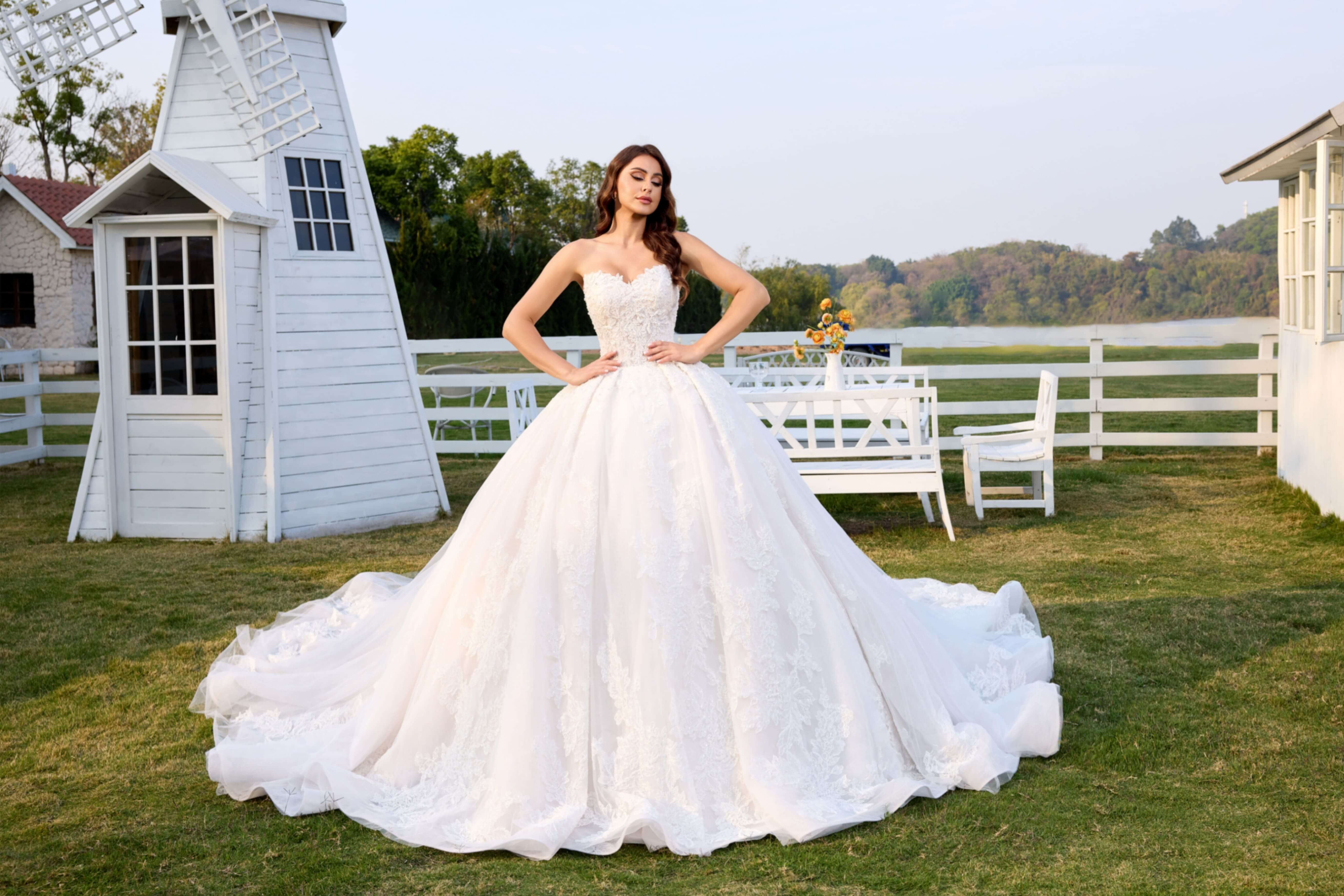 Lace Ball Gown Wedding Dress with Long Train and Veil-AND Bride