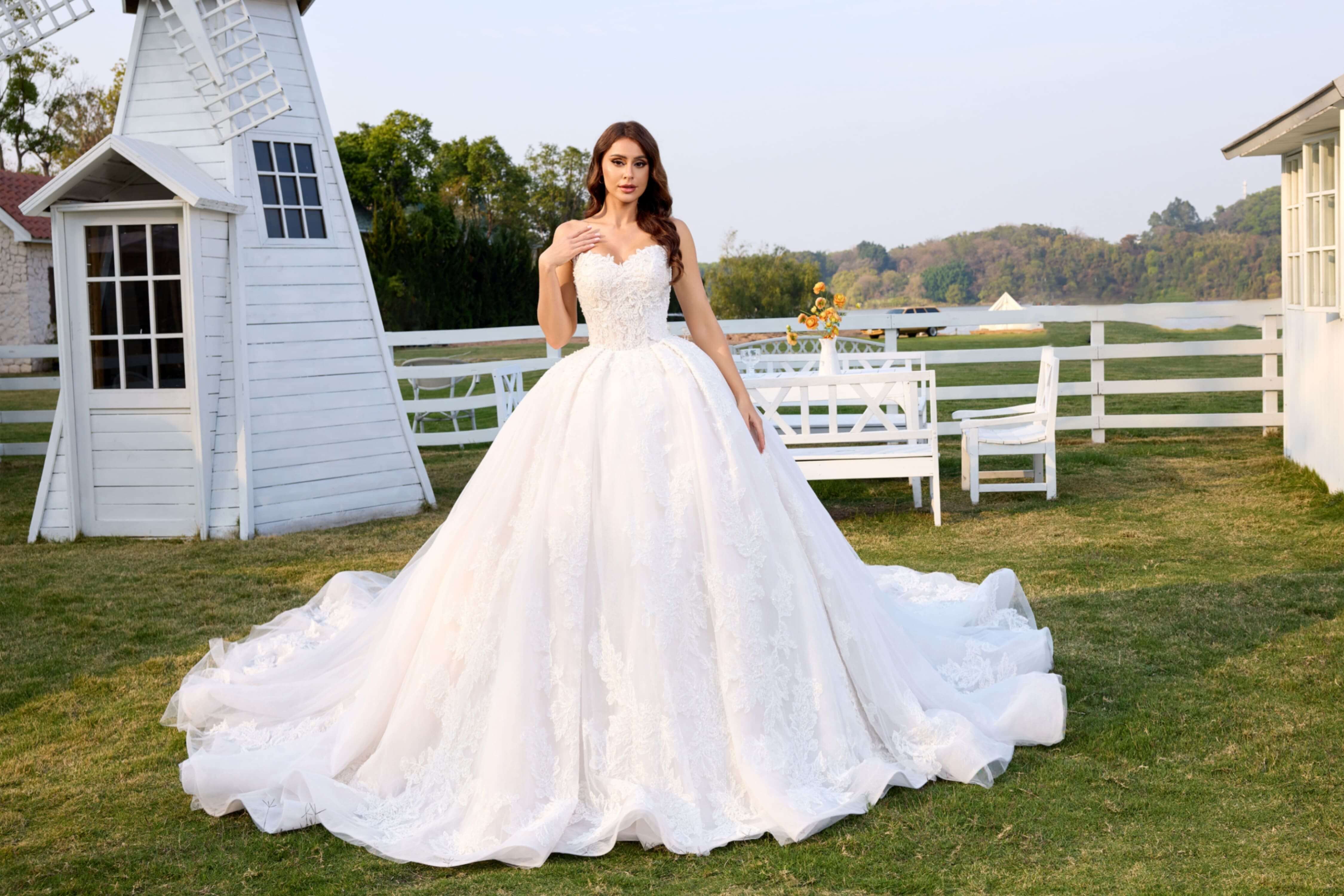 Lace Ball Gown Wedding Dress with Long Train and Veil-AND Bride