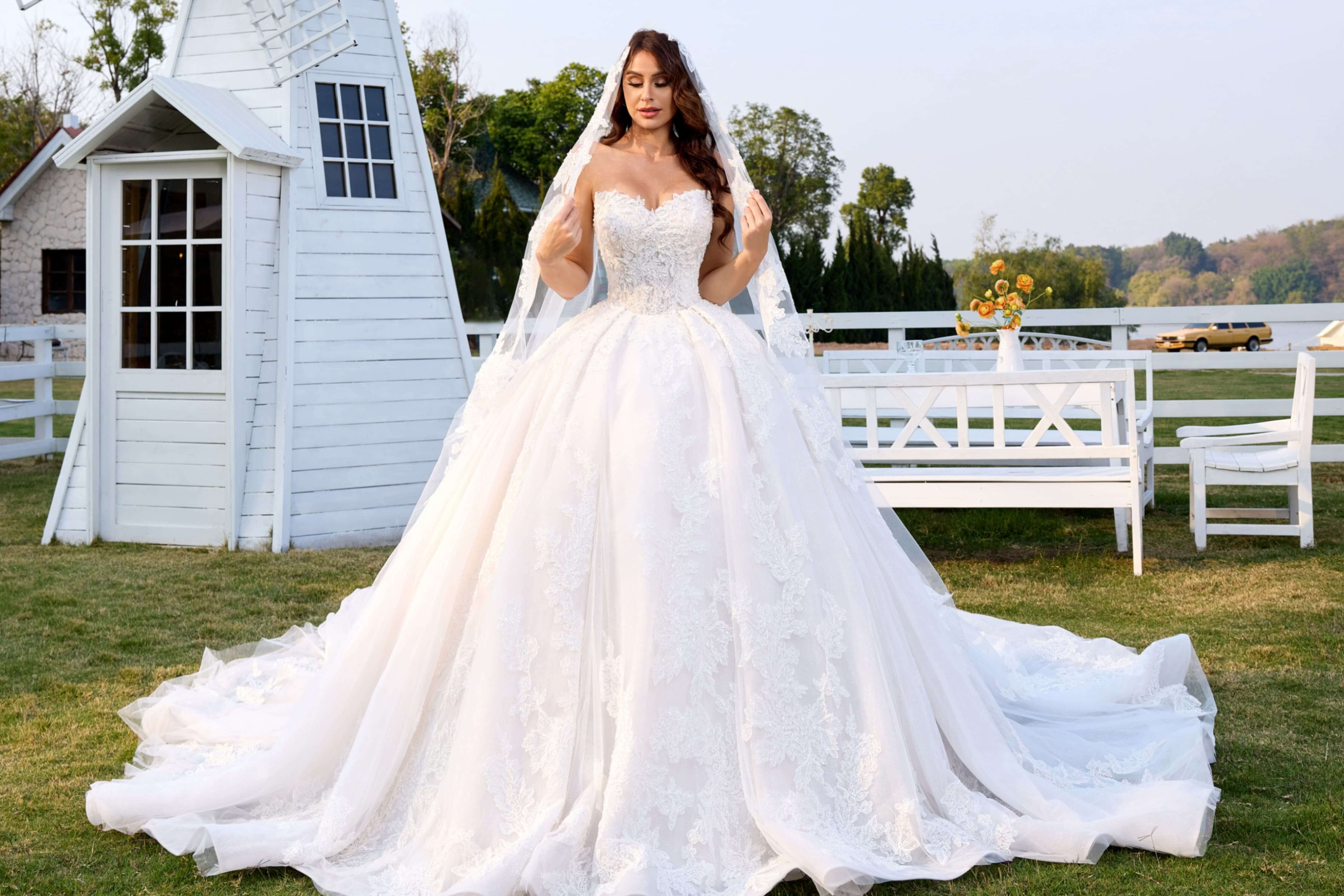 Lace Ball Gown Wedding Dress with Long Train and Veil-AND Bride