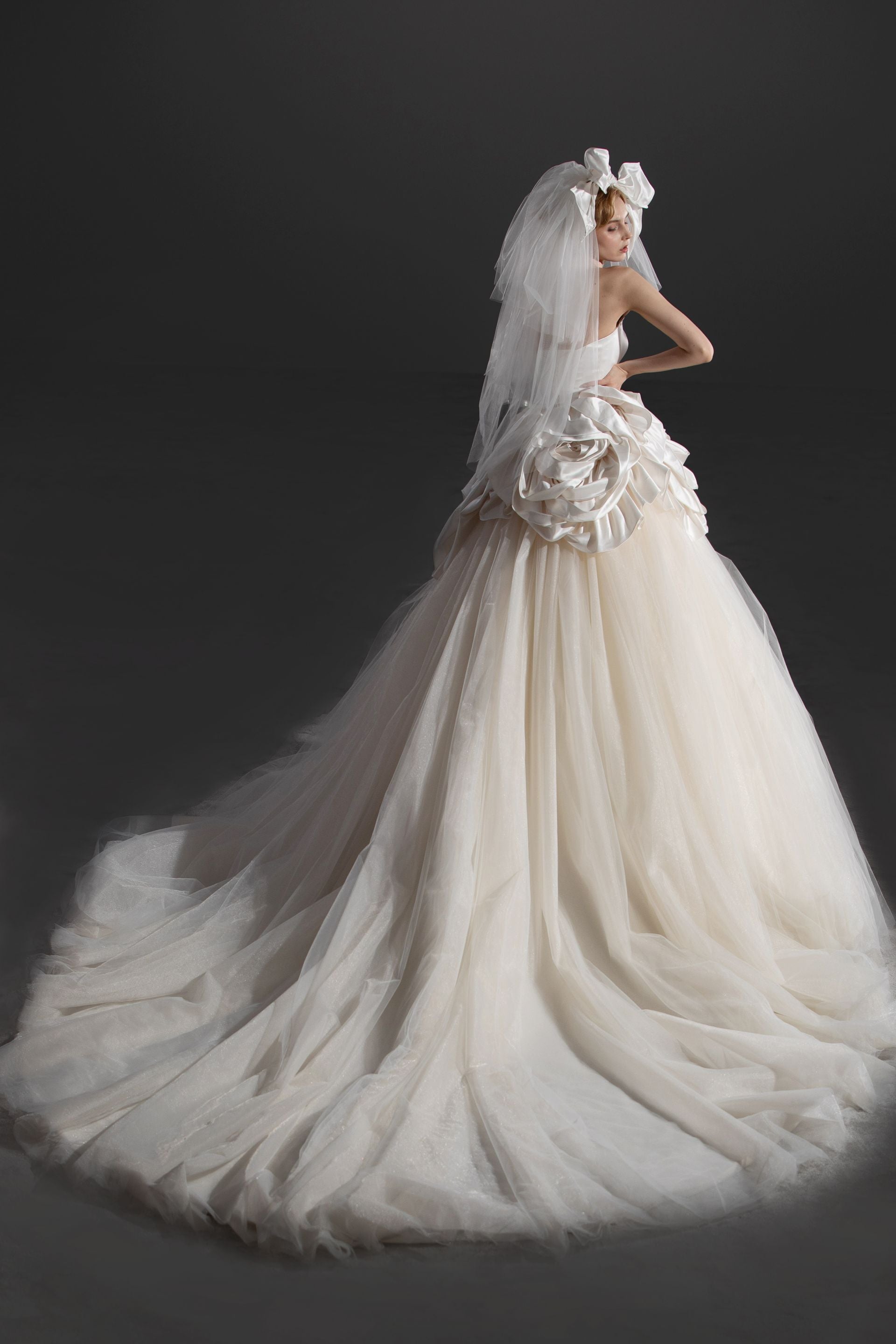 luxury ball gown wedding dress LWD24110