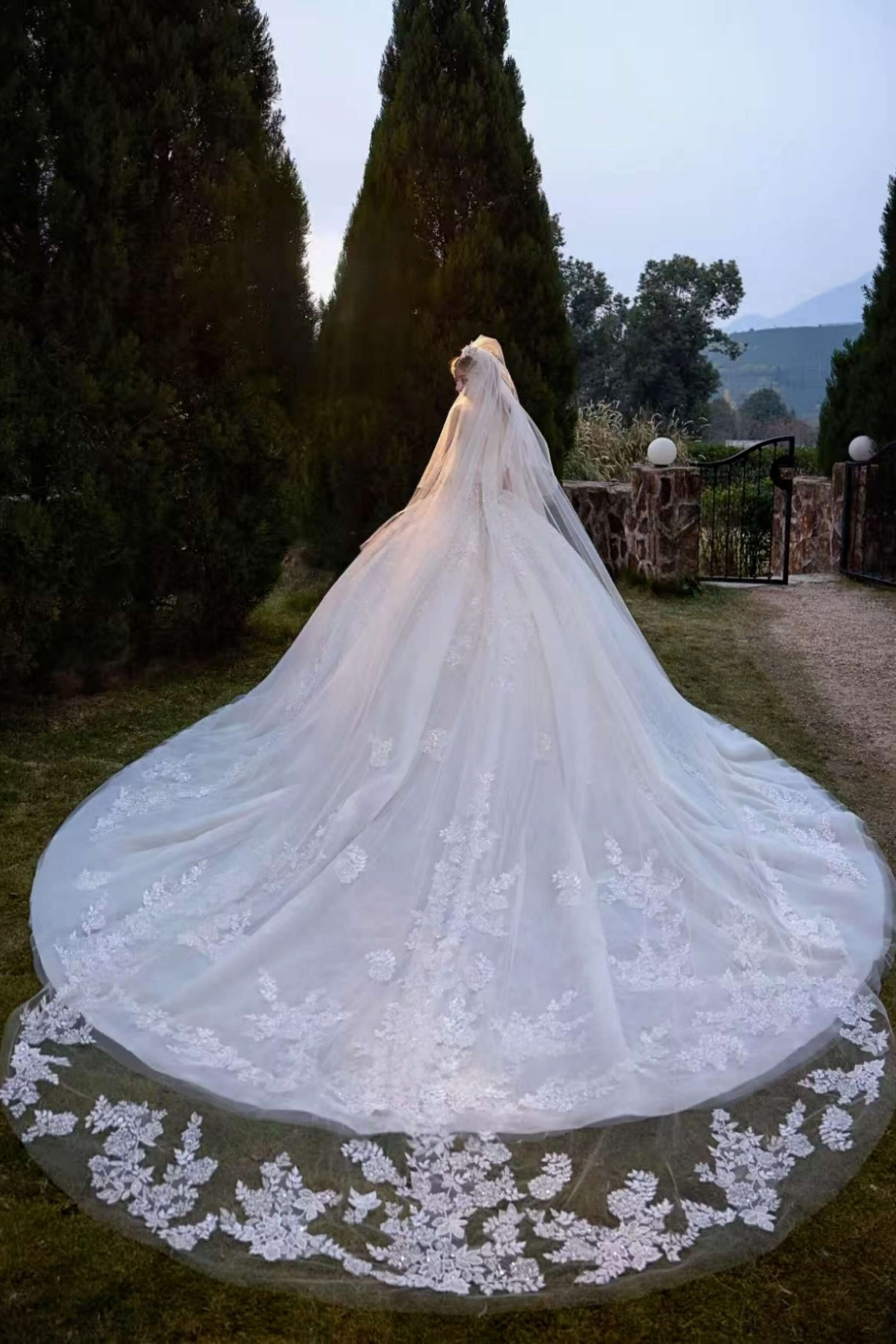 Romantic Tulle Ball Gown Wedding Dress with Princess Silhouette-AND Bride