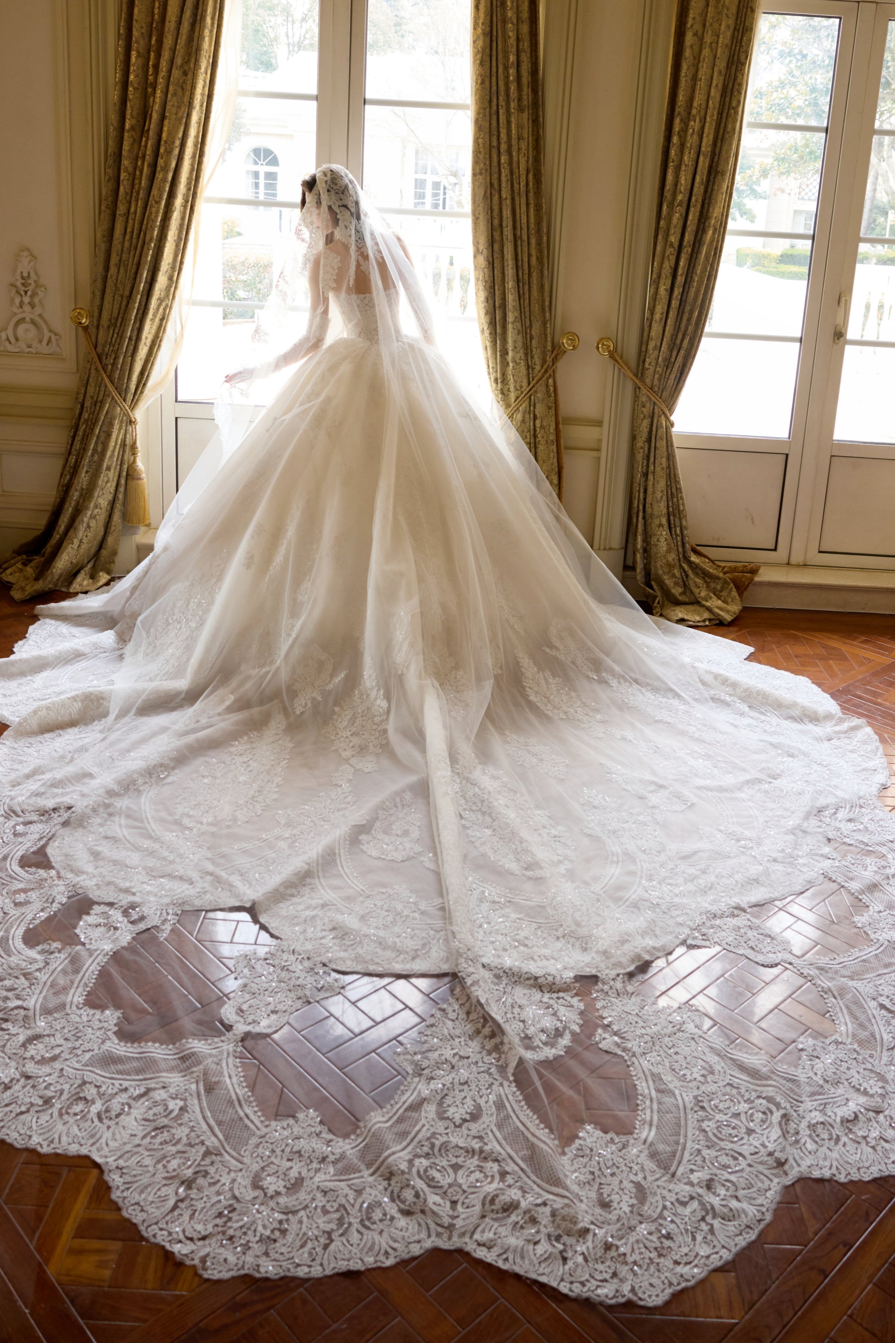 Royal Elowen - Ivory Champagne Heavy Lace Corset Cathedral Train Ball Gown WEDDING DRESS LVB2777