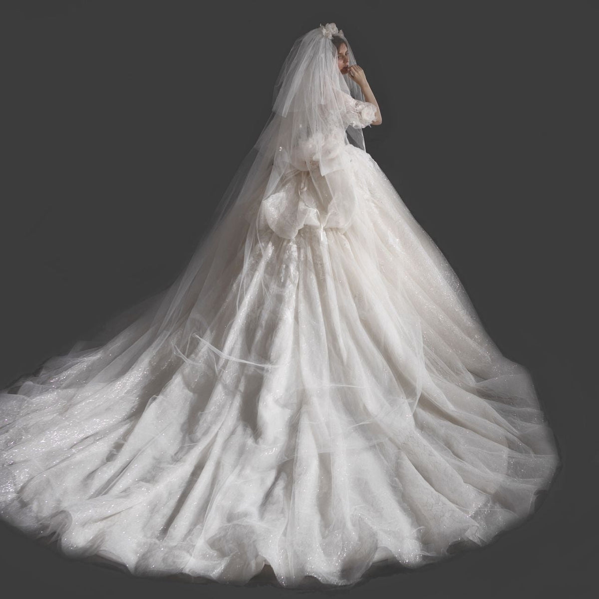 Ball Gown Wedding Dresses